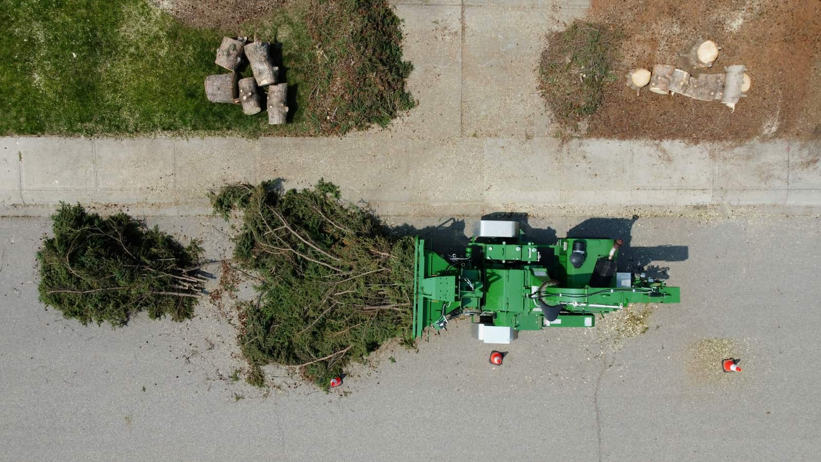 Stump Grinding and Removal in Columbia SC